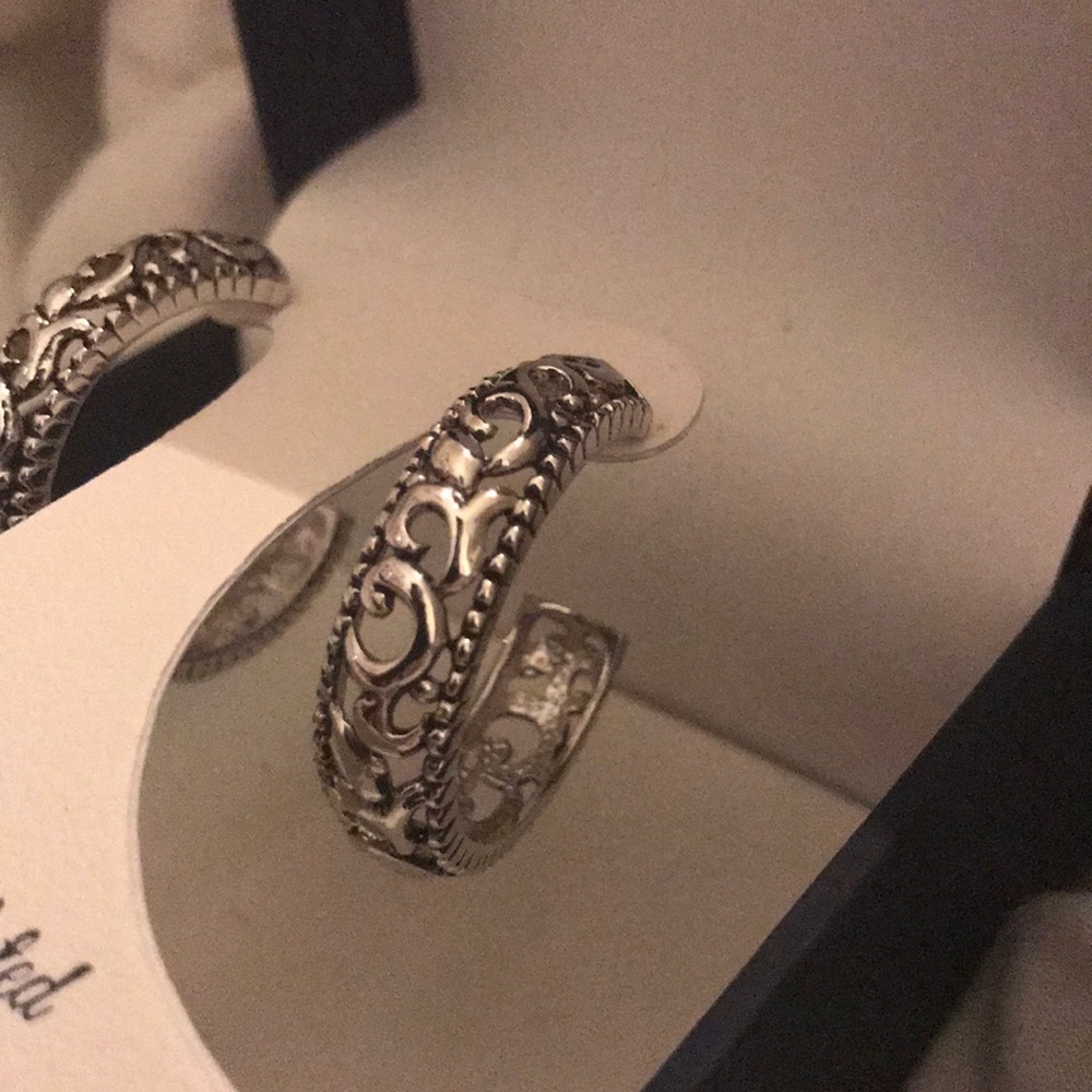 Silver Reflection Pure Silver Plated Earrings